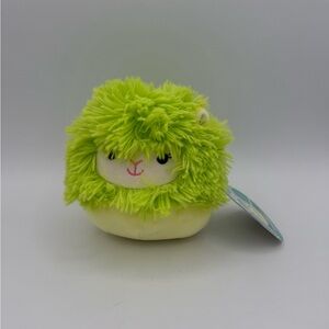 Squishmallows Cavaleri‎ Llama 5" Plush HTF Lime Green NWT
